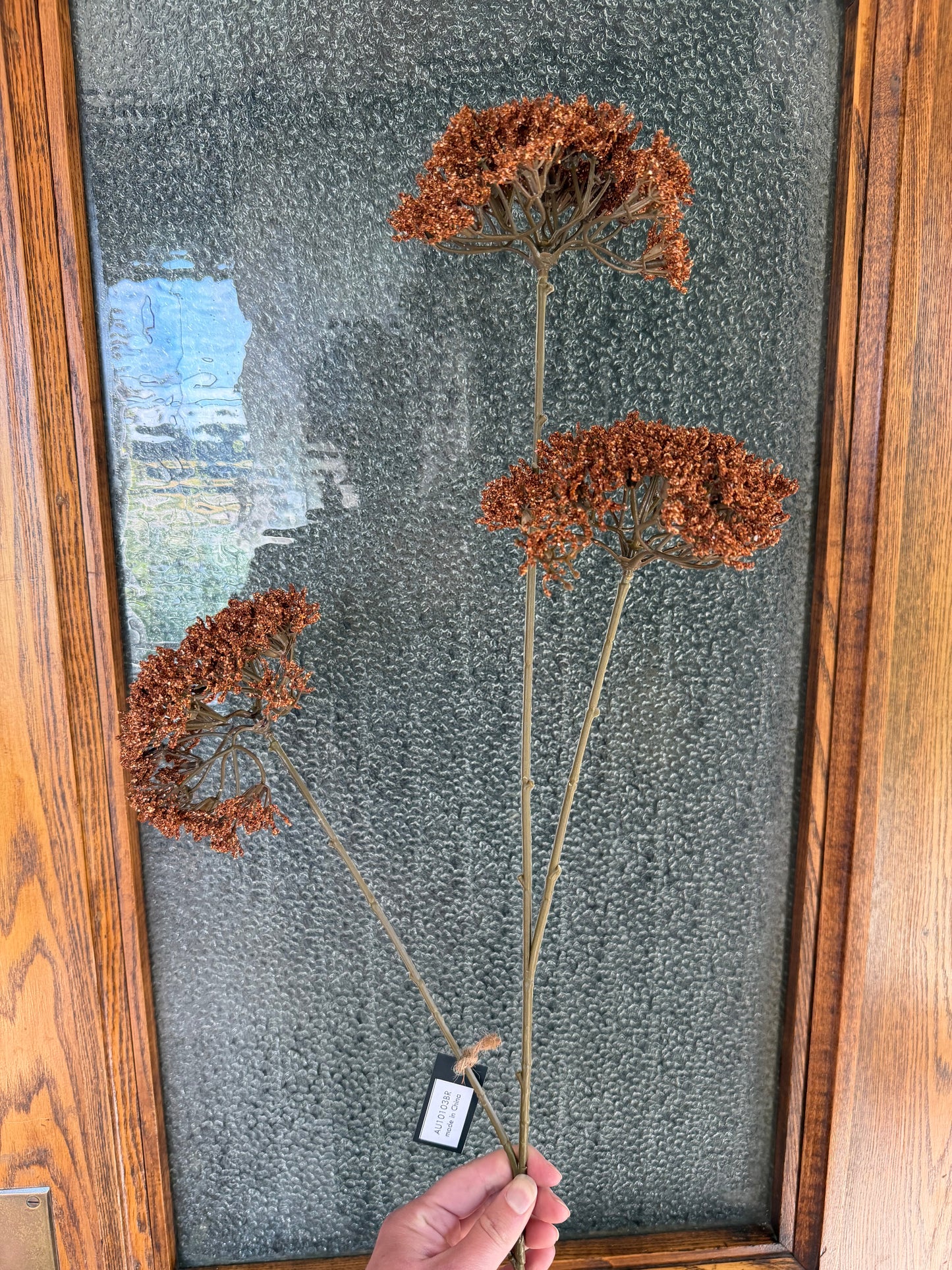 Brown Queen's Anne Lace Spray