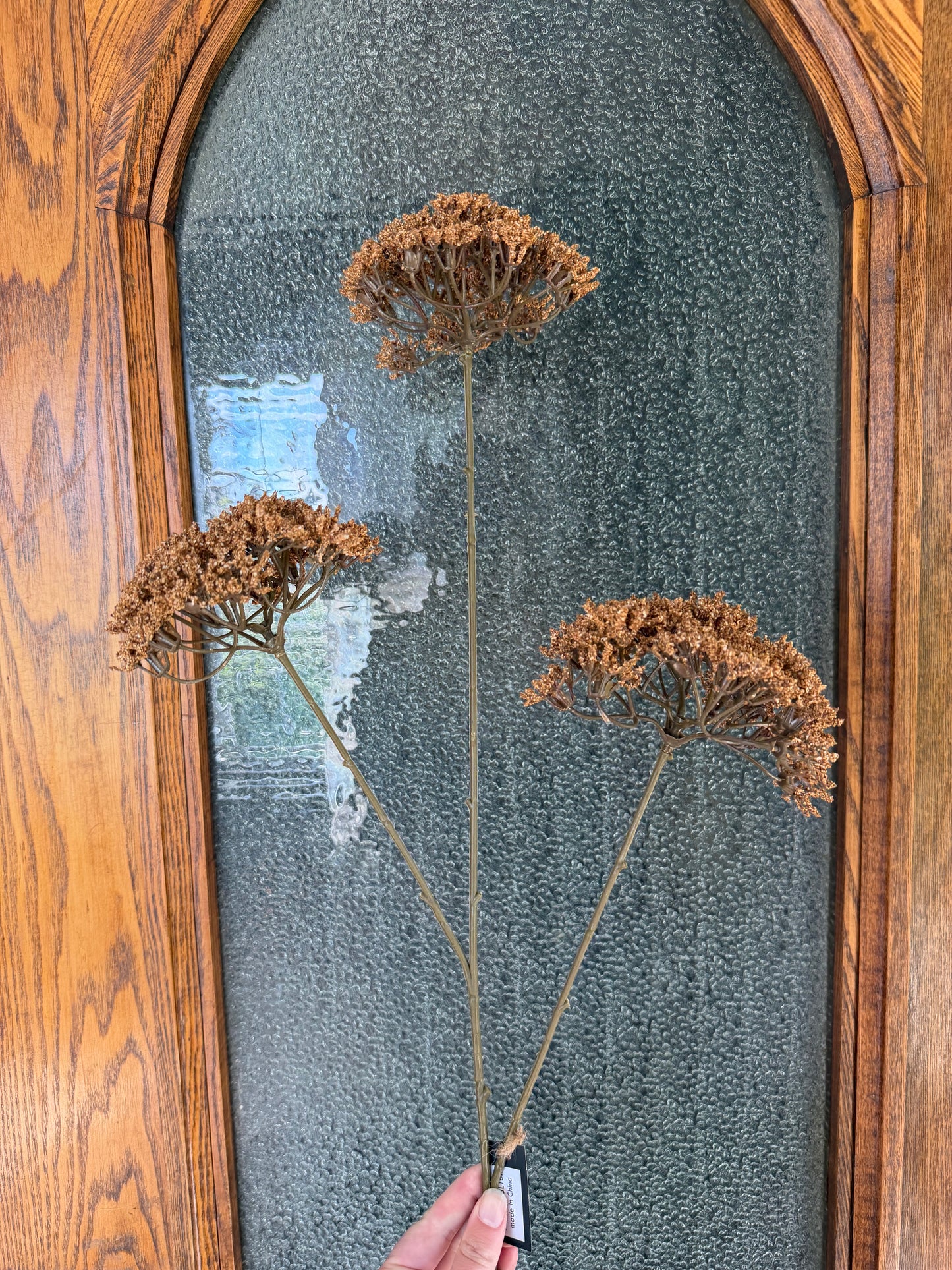 Light Brown Queen's Anne Lace Spray