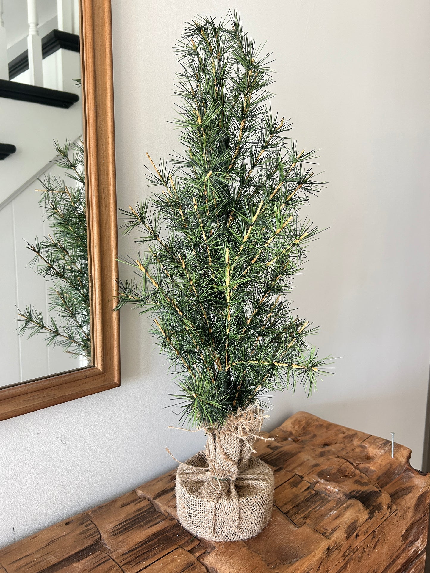 Ming Pine Burlap Base Tree