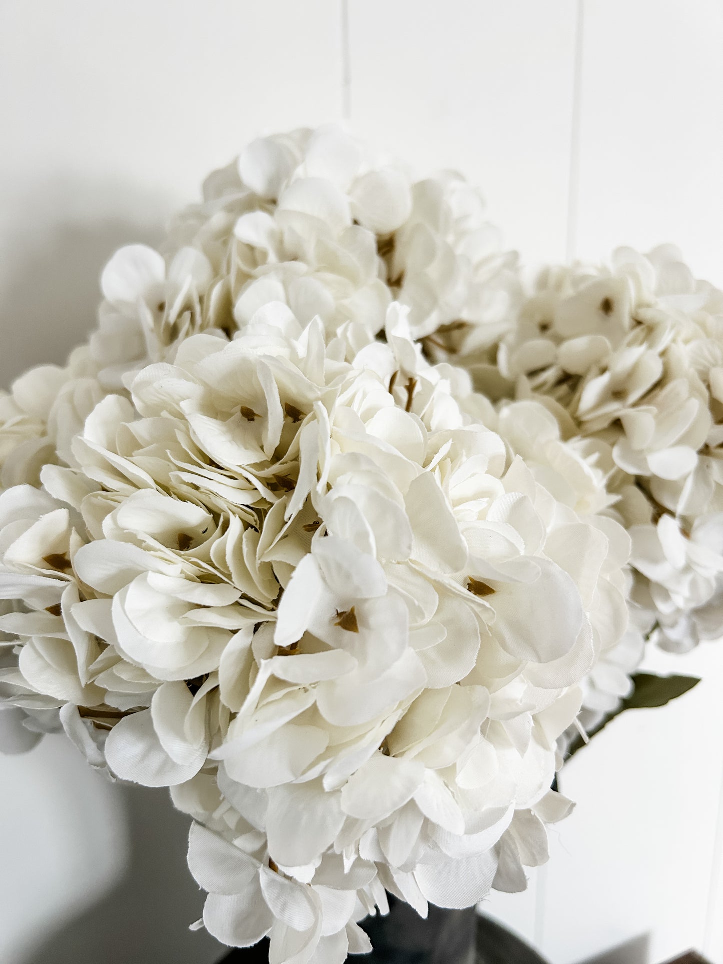 White Hydrangea Stem