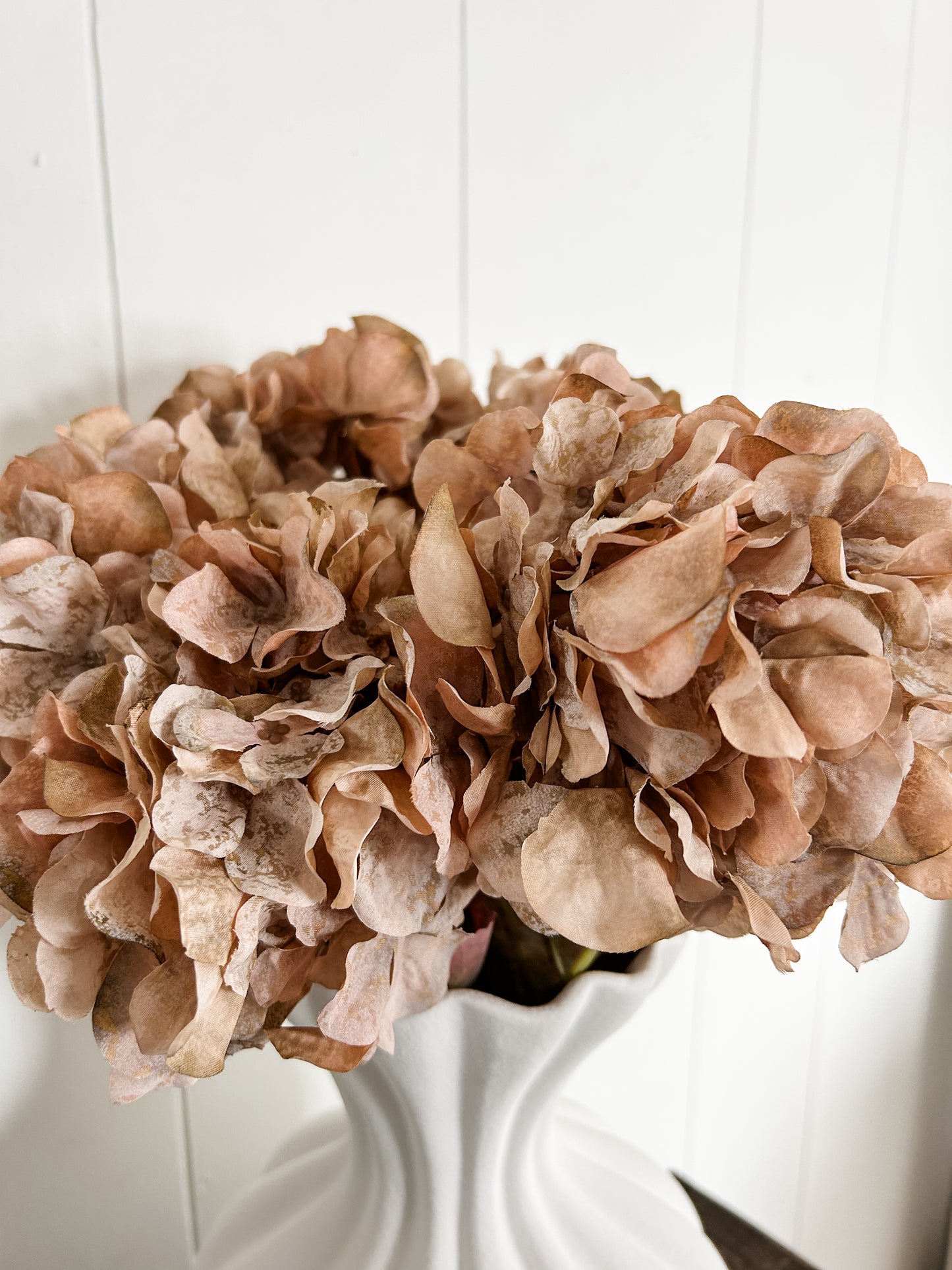 Faded Antique Peach Hydrangea Stem