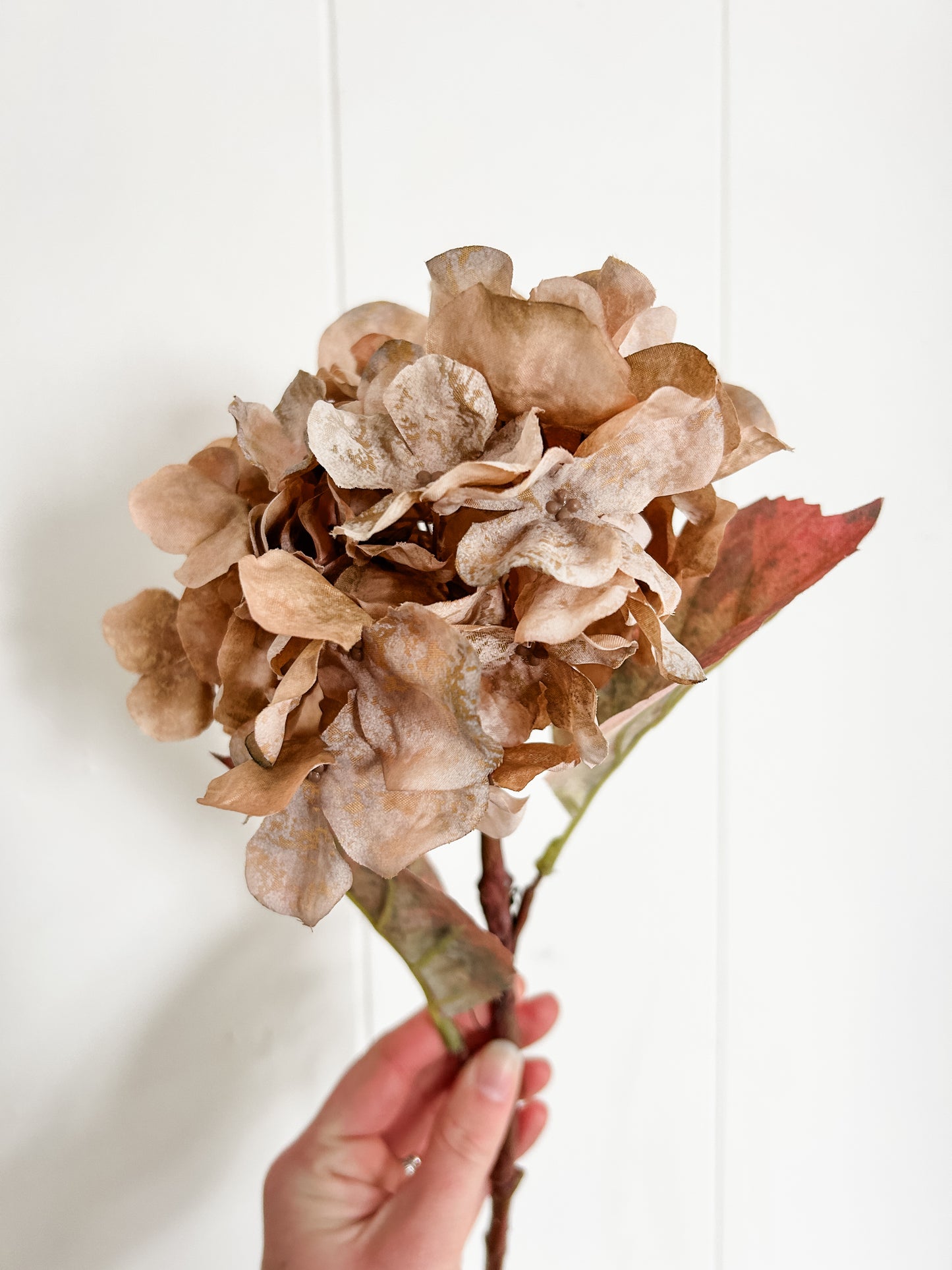 Faded Antique Peach Hydrangea Stem