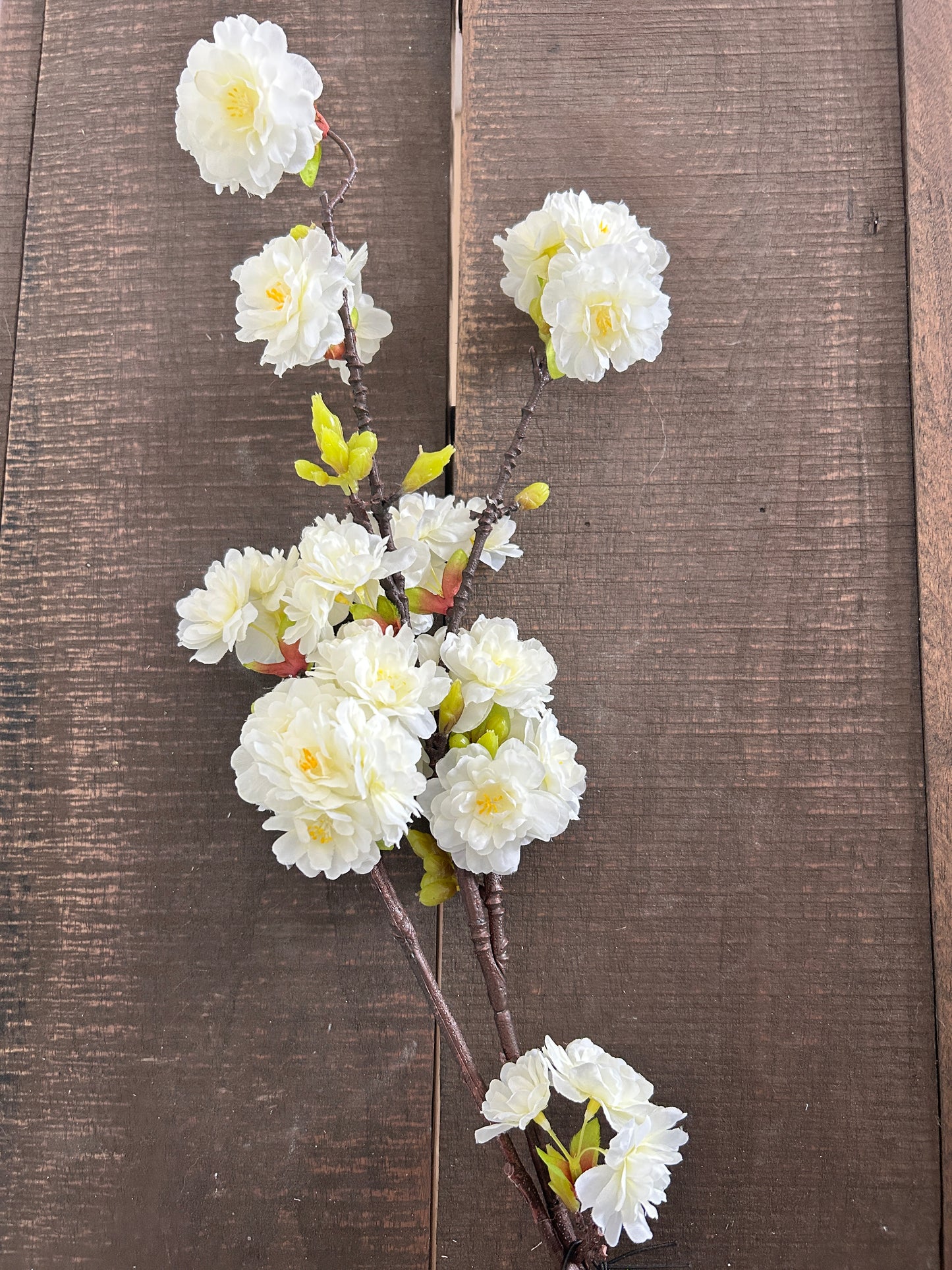 Cherry Blossom Stem