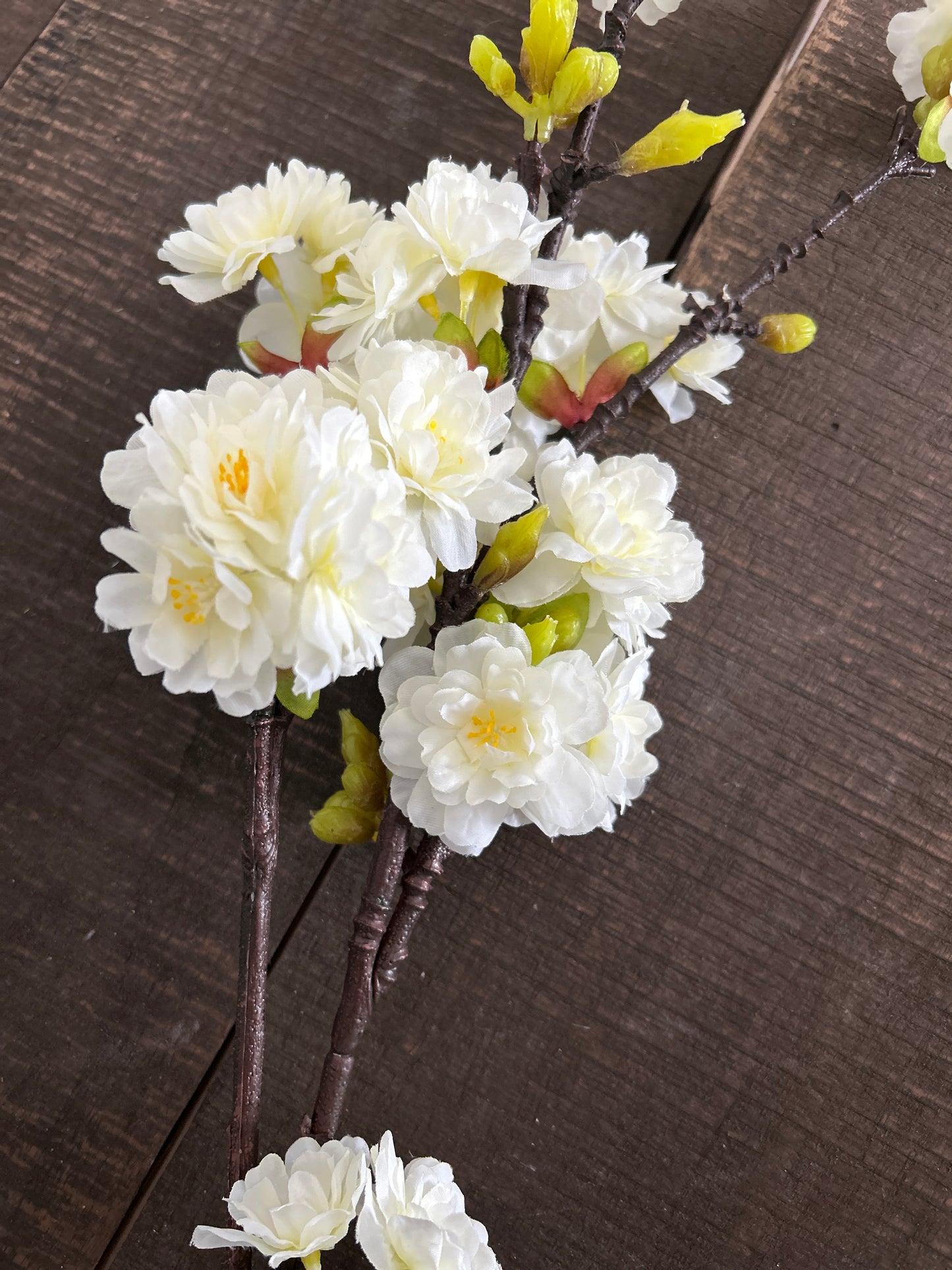 Cherry Blossom Stem