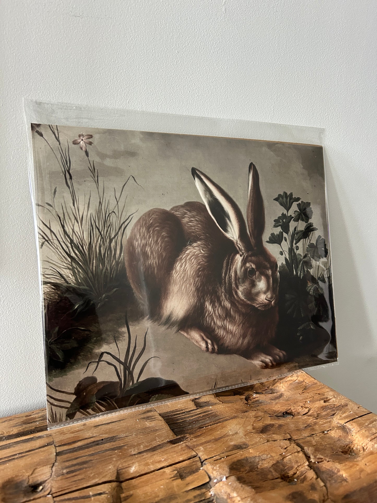 Rabbit Vintage Art Print (no frame)- 11" x 14"