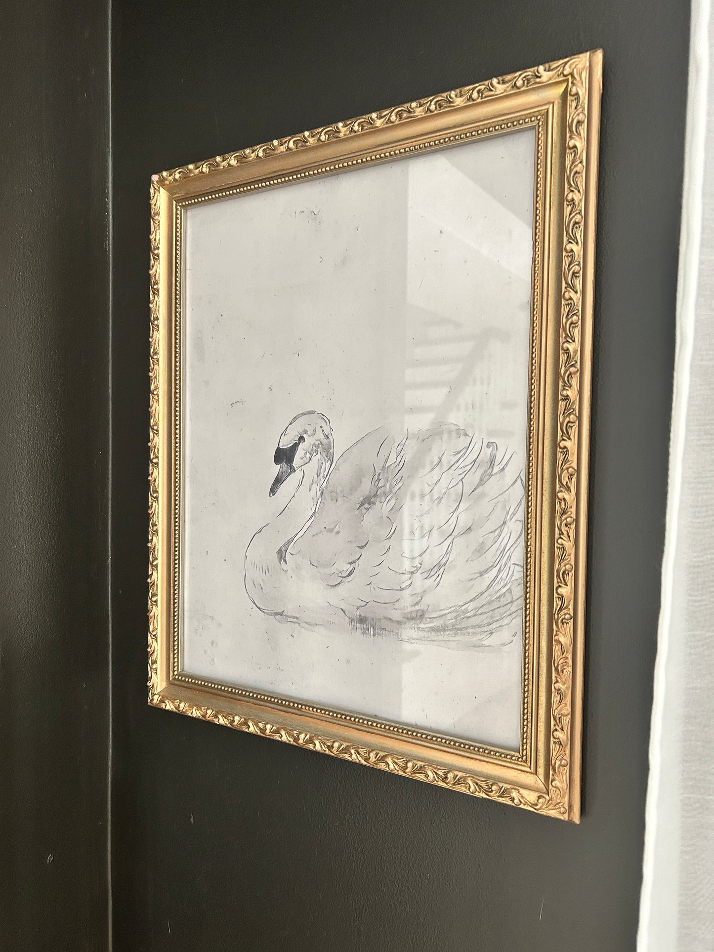 Swan Sketch Vintage Art Print (no frame)