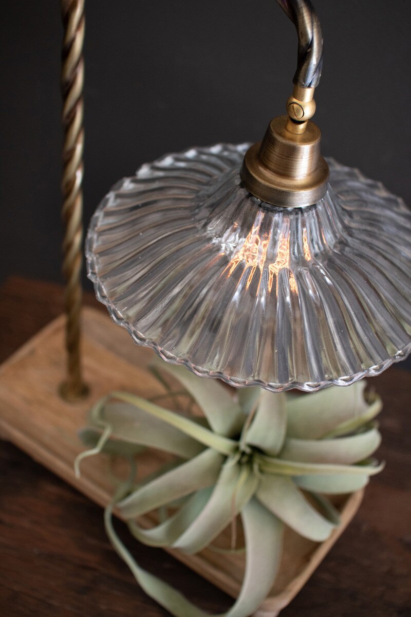 Glass Gooseneck Lamp with Tray Base