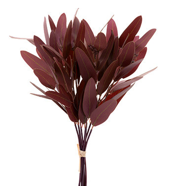 Burgundy Long Leaf Eucalyptus Bundle