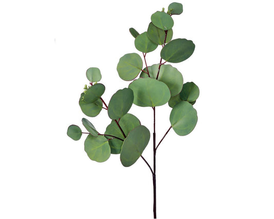 Real Touch Silver Dollar Eucalyptus Stem