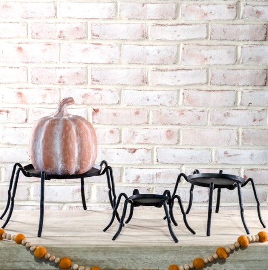 Black Iron Spider Stands Assorted