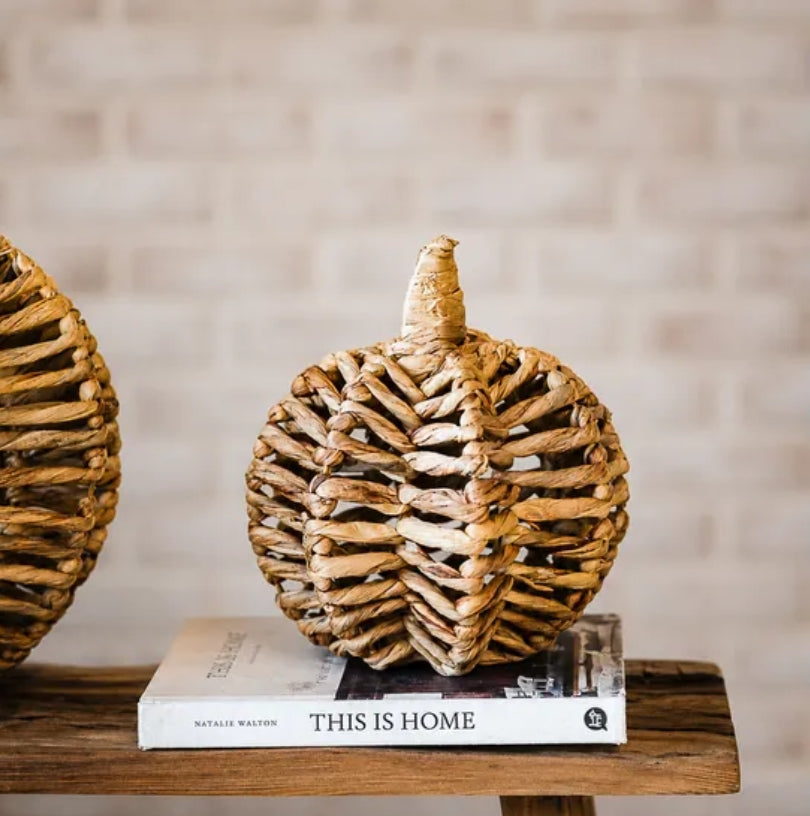 Small Water Hyacinth Pumpkin