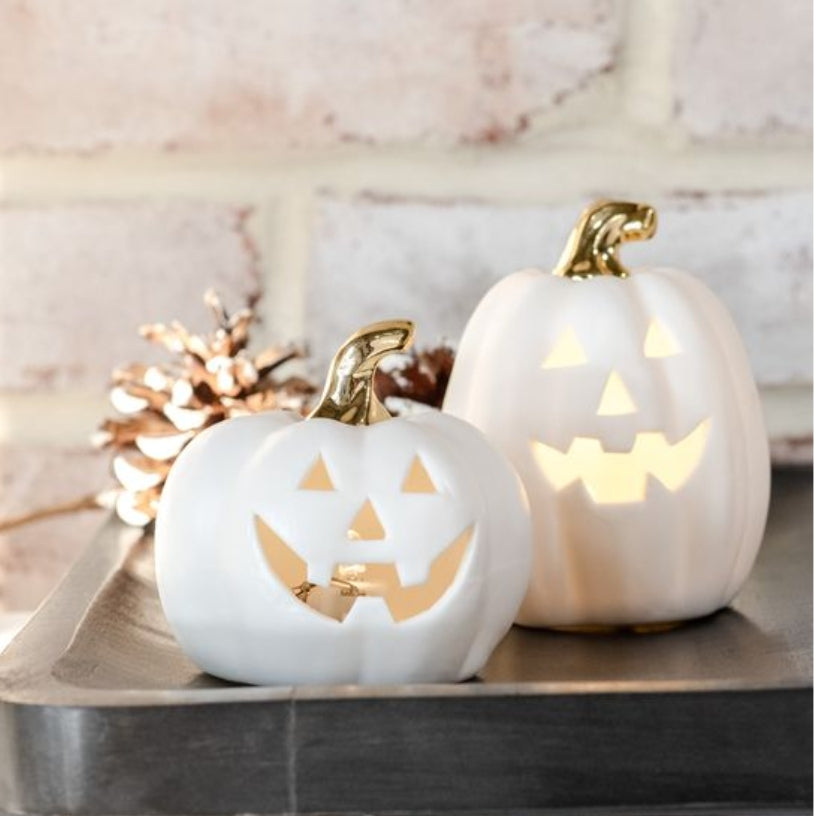 White & Gold Mini Jack-o-Lantern Pumpkins- Assorted Styles