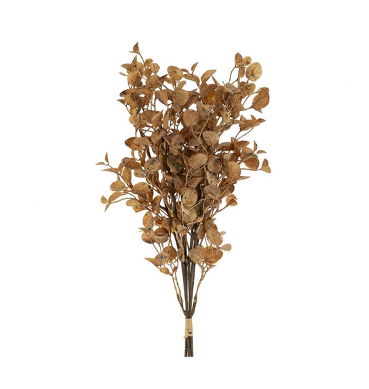 Creamy Brown Dried Eucalyptus Bouquet