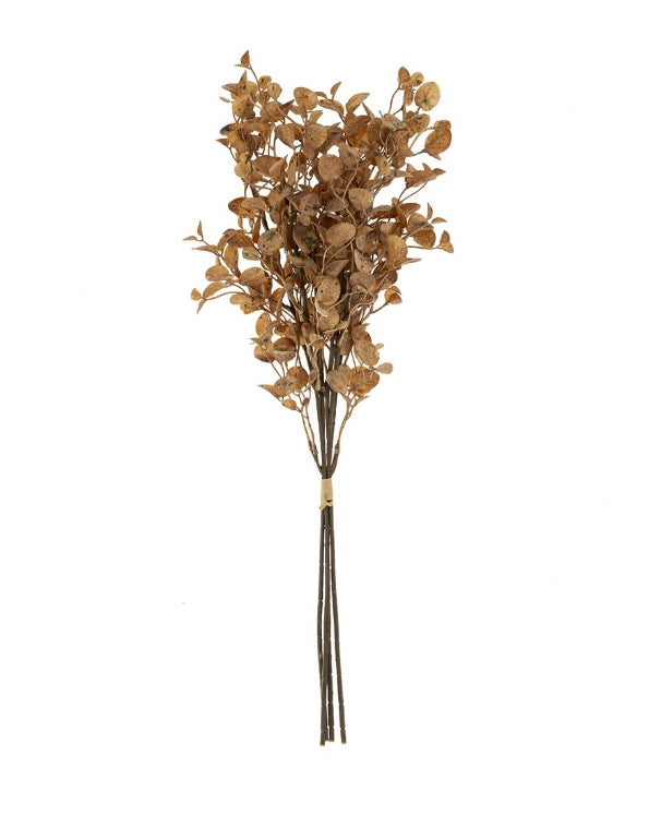 Creamy Brown Dried Eucalyptus Bouquet