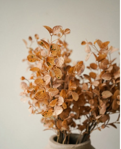 Creamy Brown Dried Eucalyptus Bouquet