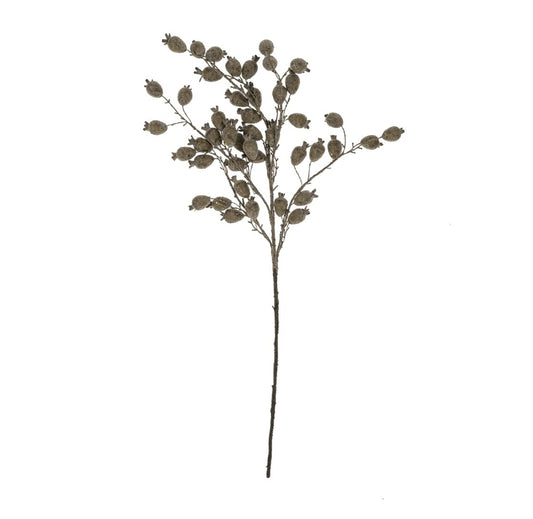 Moody Plum Dried Berry Branch