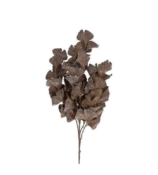 Dark Brown Purple Autumn Leaves Branch