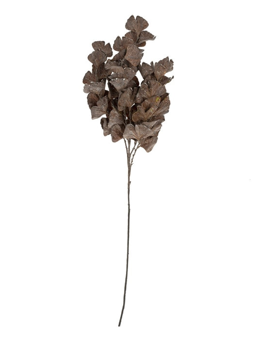 Dark Brown Purple Autumn Leaves Branch