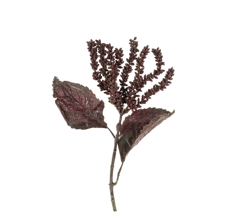 Dark Purple/Burgundy Dripping Seed Stem