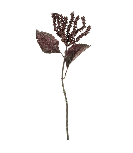 Dark Purple/Burgundy Dripping Seed Stem