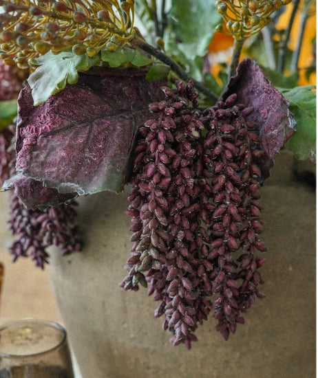 Dark Purple/Burgundy Dripping Seed Stem