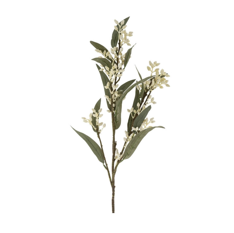 Flowering Eucalyptus Stem