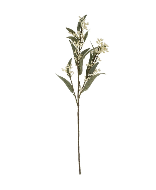 Flowering Eucalyptus Stem
