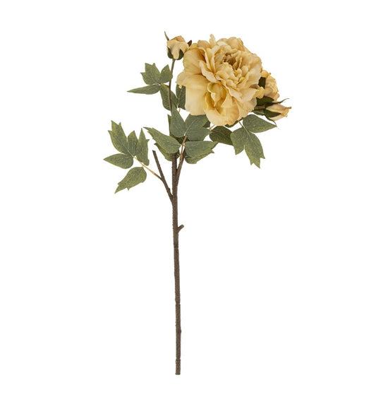 Butter Yellow Peony Stem