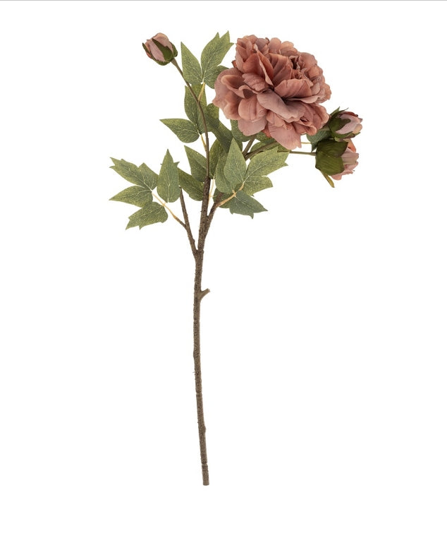Dusty Rose Peony Stem