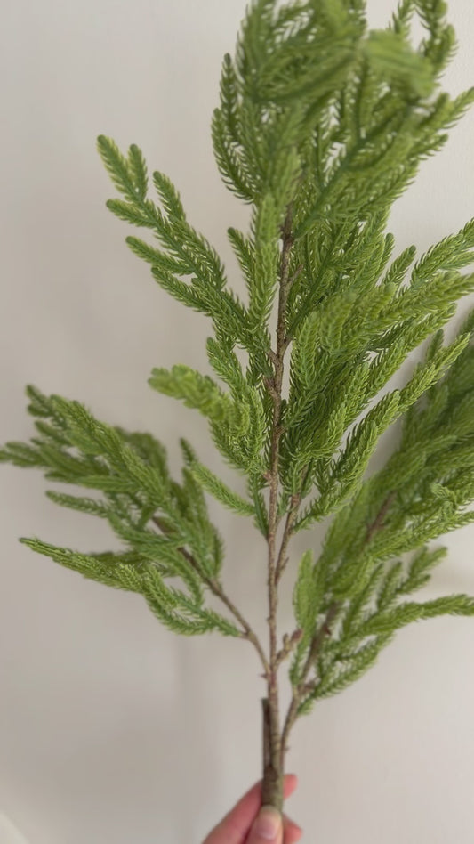 Real Touch Norfolk Island Pine Spray- 34"