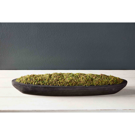 Black Paulownia Wood Perserved Moss Tray